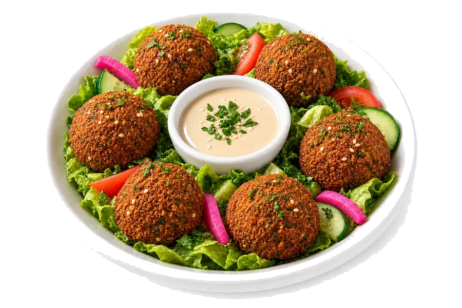 Falafel 6 Pieces